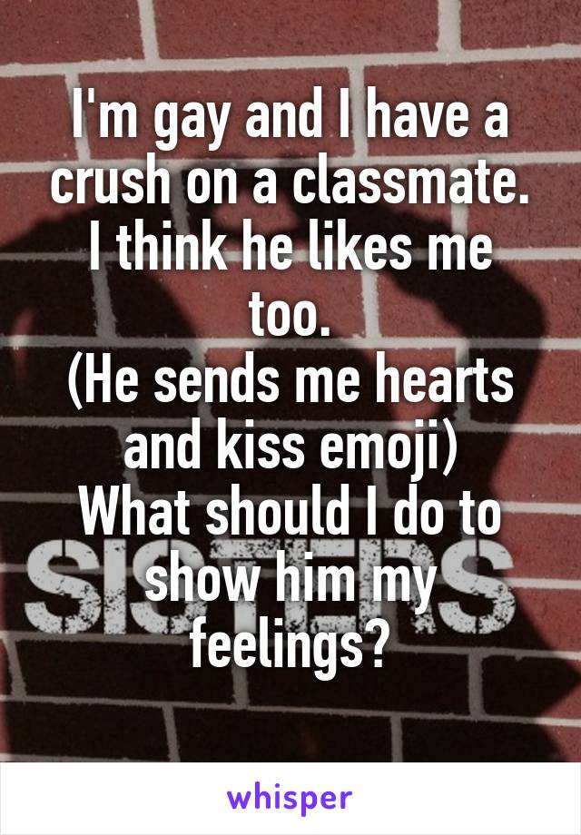 I'm gay and I have a crush on a classmate.
I think he likes me too.
(He sends me hearts and kiss emoji)
What should I do to show him my feelings?
 