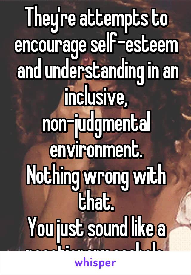 They're attempts to encourage self-esteem  and understanding in an inclusive, non-judgmental environment.
Nothing wrong with that.
You just sound like a reactionary asshole.