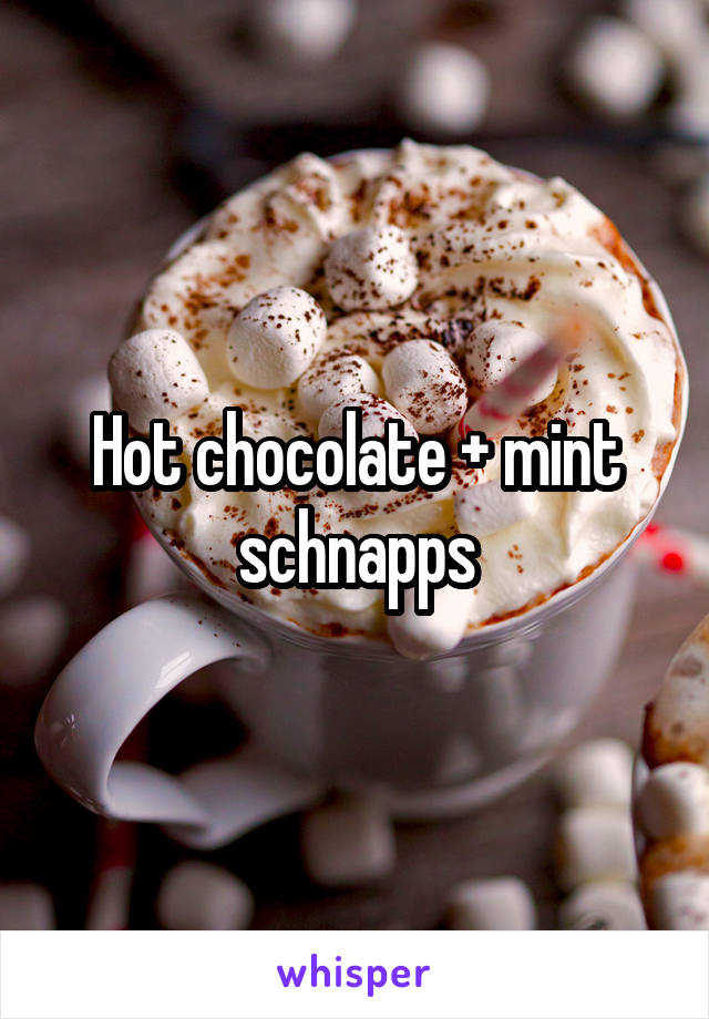 Hot chocolate + mint schnapps