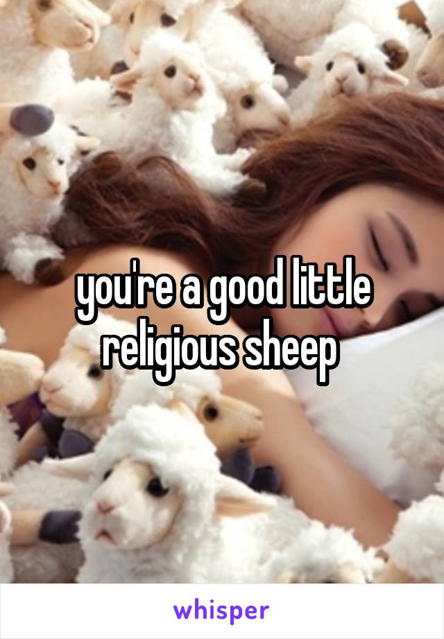you're a good little religious sheep 