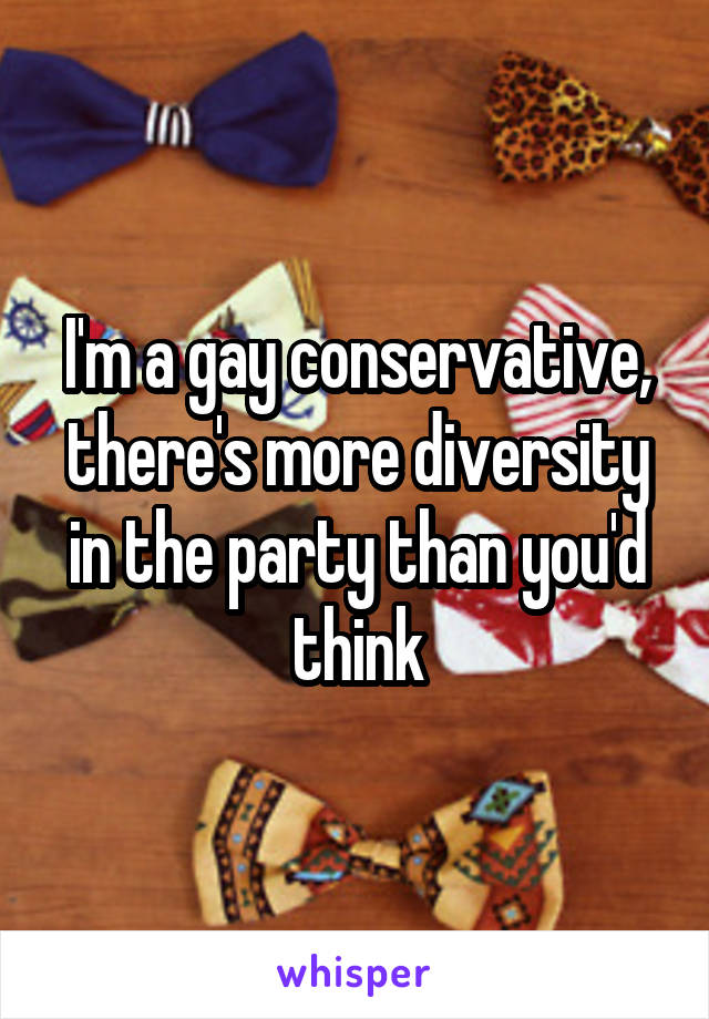 I'm a gay conservative, there's more diversity in the party than you'd think