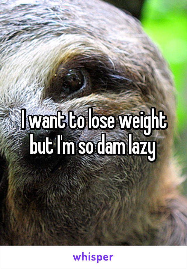 I want to lose weight but I'm so dam lazy 