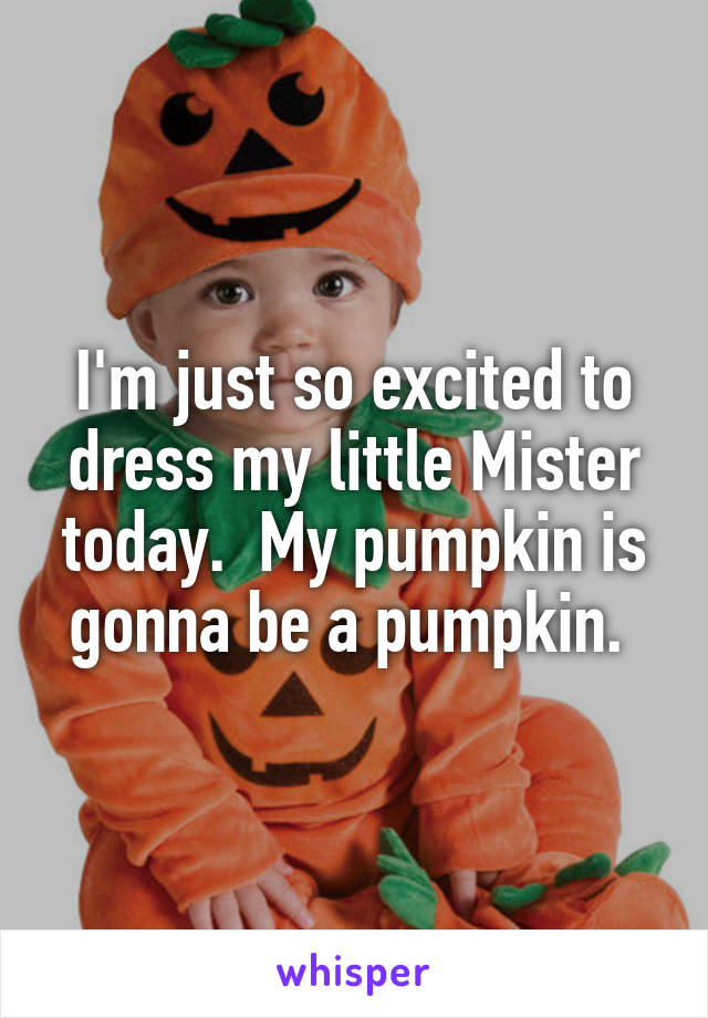 I'm just so excited to dress my little Mister today.  My pumpkin is gonna be a pumpkin. 