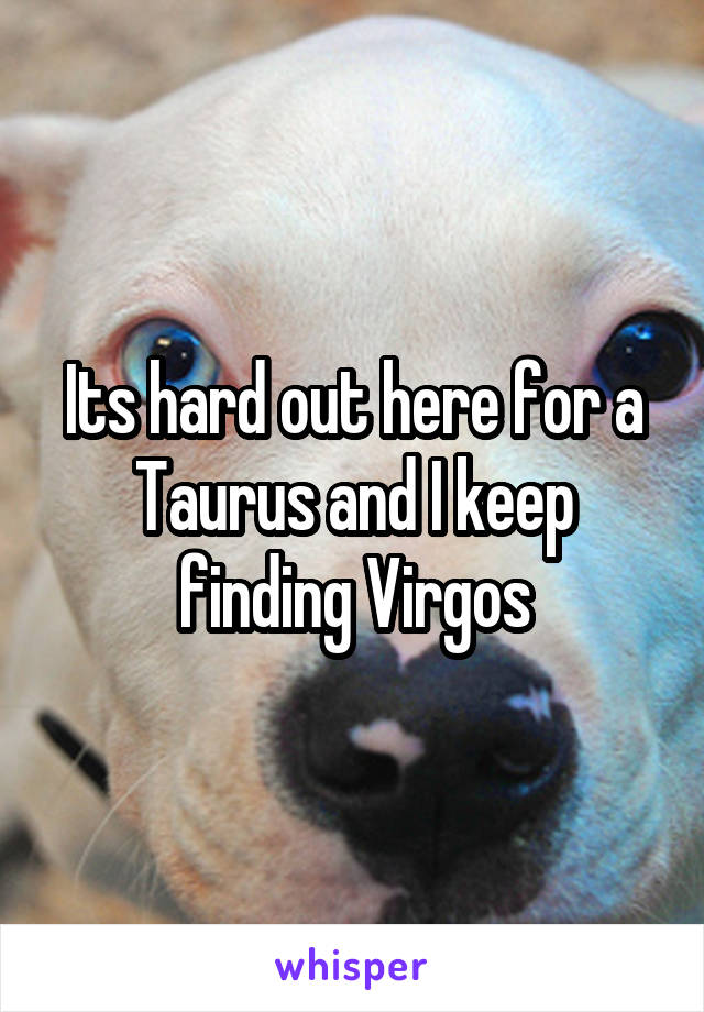 Its hard out here for a Taurus and I keep finding Virgos