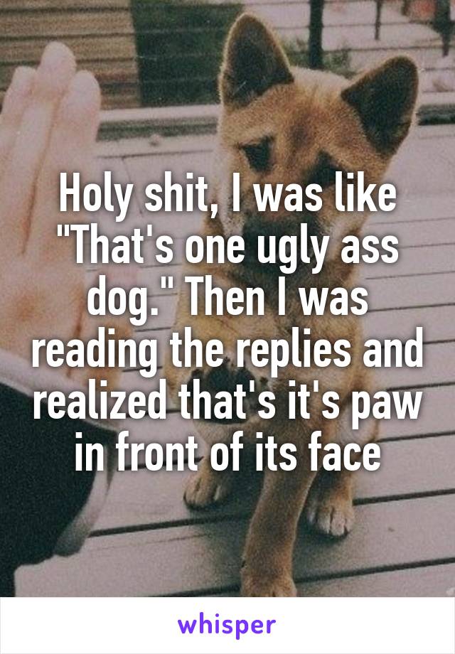 Holy shit, I was like "That's one ugly ass dog." Then I was reading the replies and realized that's it's paw in front of its face