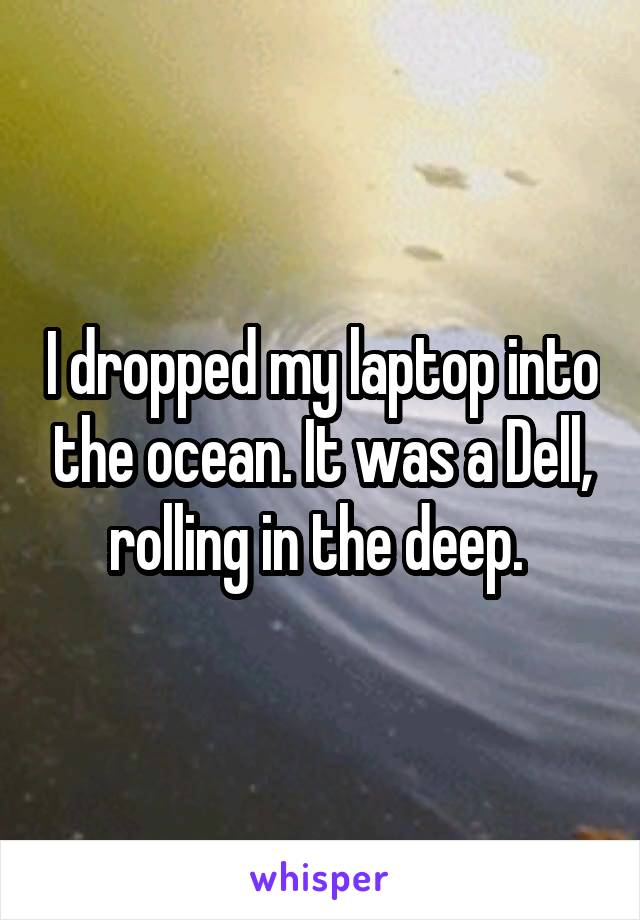 I dropped my laptop into the ocean. It was a Dell, rolling in the deep. 