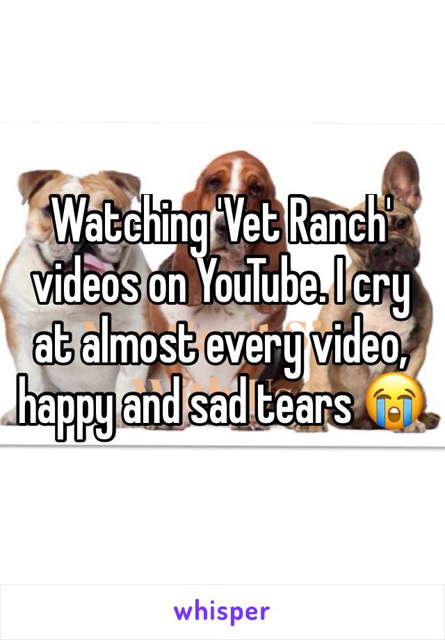 Watching 'Vet Ranch' videos on YouTube. I cry at almost every video, happy and sad tears 😭