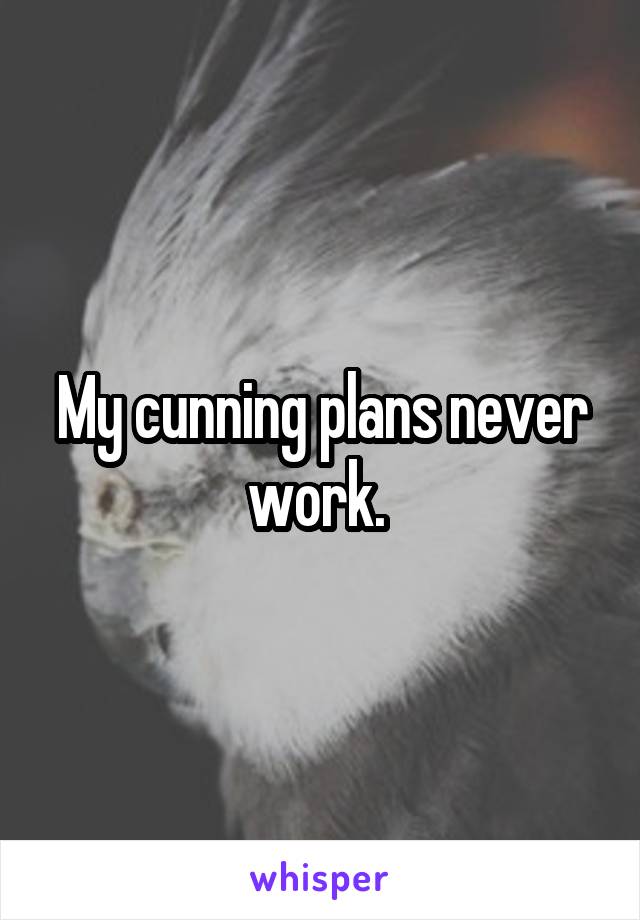 My cunning plans never work. 