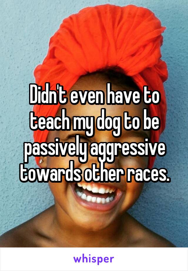 Didn't even have to teach my dog to be passively aggressive towards other races.