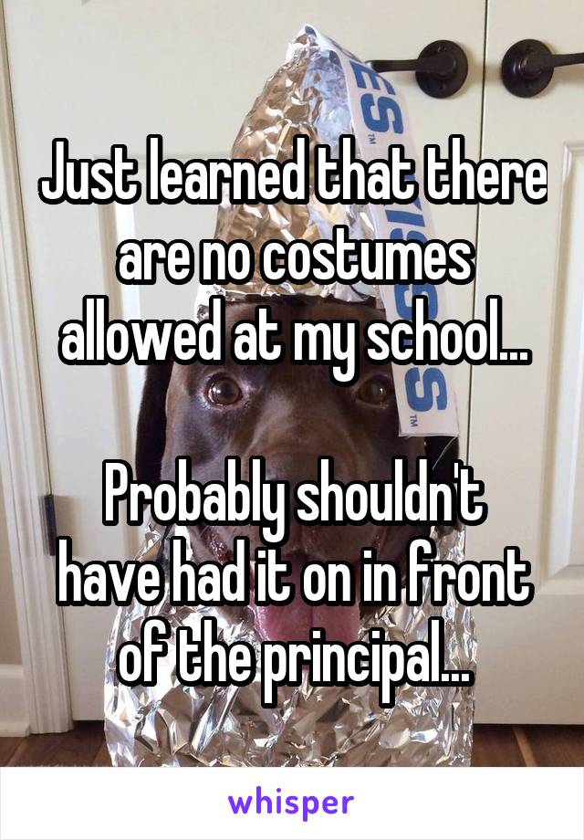 Just learned that there are no costumes allowed at my school...

Probably shouldn't have had it on in front of the principal...