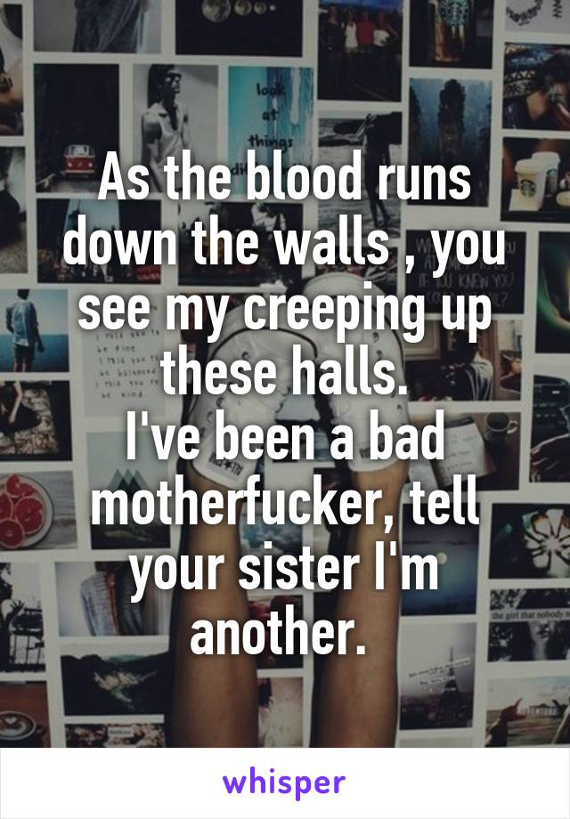 As the blood runs down the walls , you see my creeping up these halls.
I've been a bad motherfucker, tell your sister I'm another. 