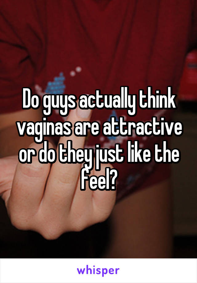 Do guys actually think vaginas are attractive or do they just like the feel?