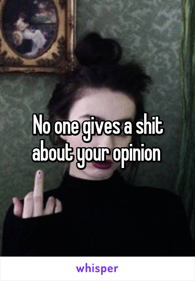 No one gives a shit about your opinion 
