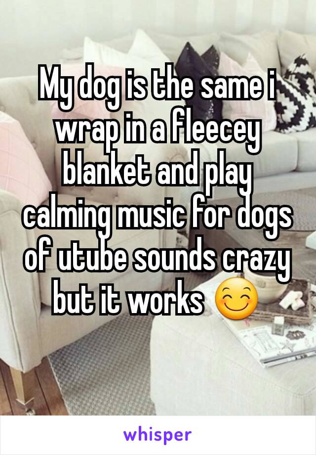 My dog is the same i wrap in a fleecey blanket and play calming music for dogs of utube sounds crazy but it works 😊