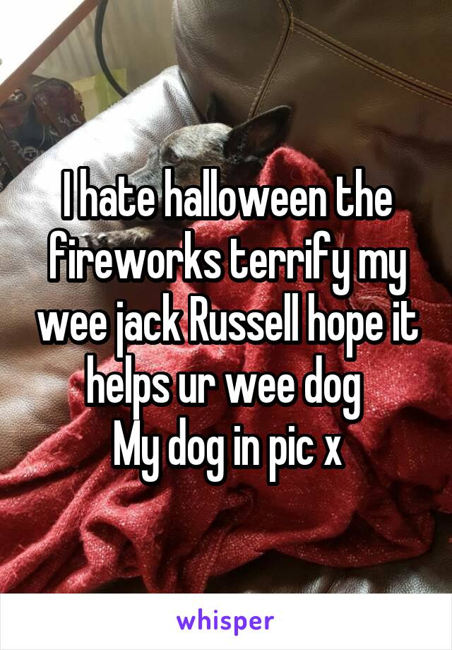 I hate halloween the fireworks terrify my wee jack Russell hope it helps ur wee dog 
My dog in pic x