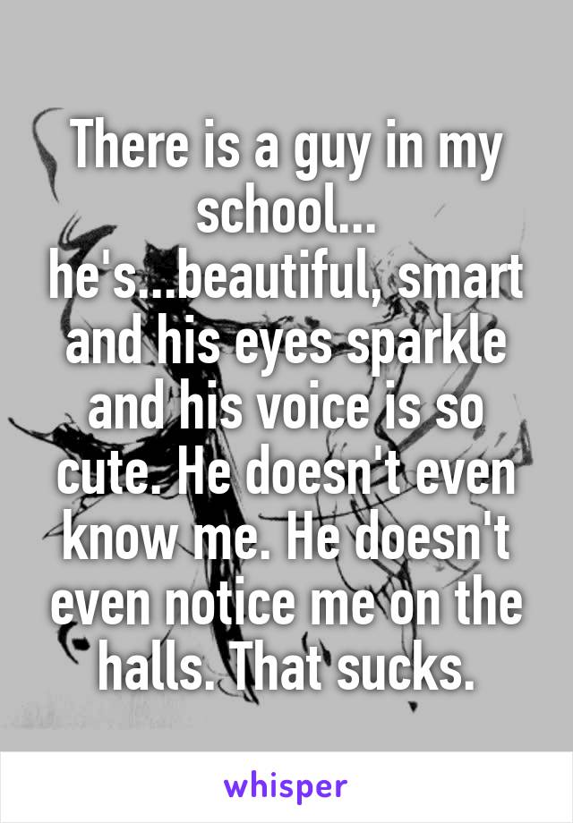 There is a guy in my school... he's...beautiful, smart and his eyes sparkle and his voice is so cute. He doesn't even know me. He doesn't even notice me on the halls. That sucks.