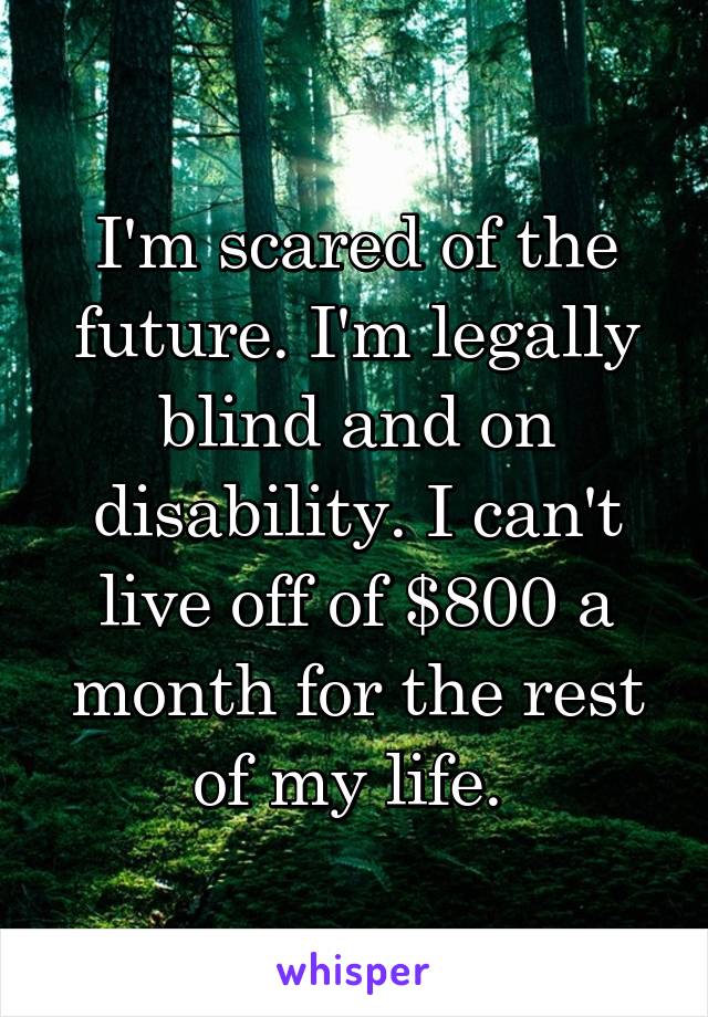 I'm scared of the future. I'm legally blind and on disability. I can't live off of $800 a month for the rest of my life. 