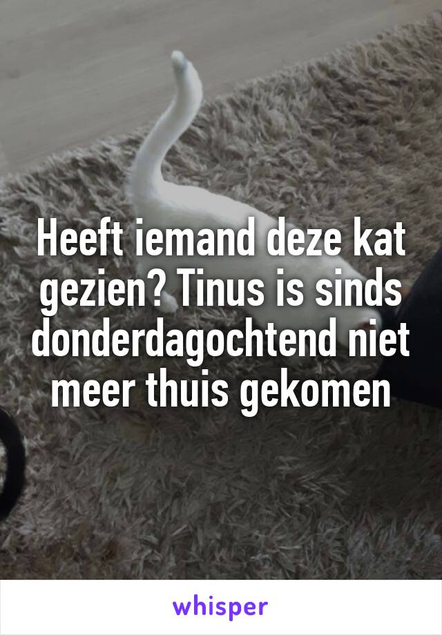 Heeft iemand deze kat gezien? Tinus is sinds donderdagochtend niet meer thuis gekomen