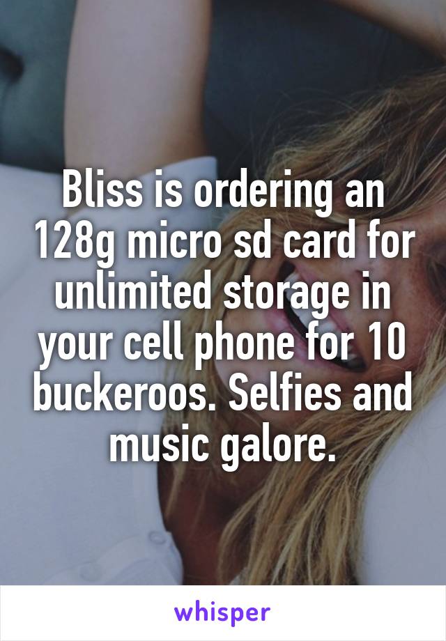 Bliss is ordering an 128g micro sd card for unlimited storage in your cell phone for 10 buckeroos. Selfies and music galore.