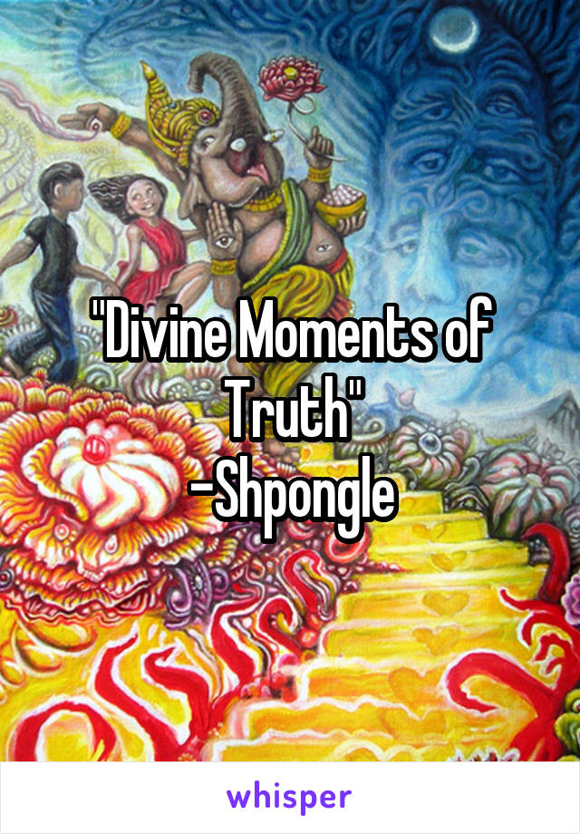 "Divine Moments of Truth"
-Shpongle