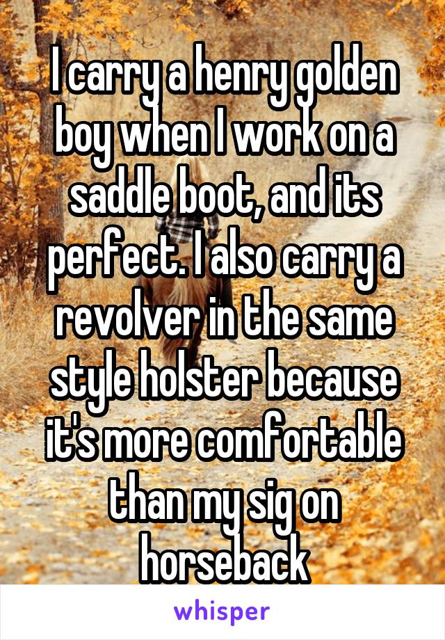 I carry a henry golden boy when I work on a saddle boot, and its perfect. I also carry a revolver in the same style holster because it's more comfortable than my sig on horseback