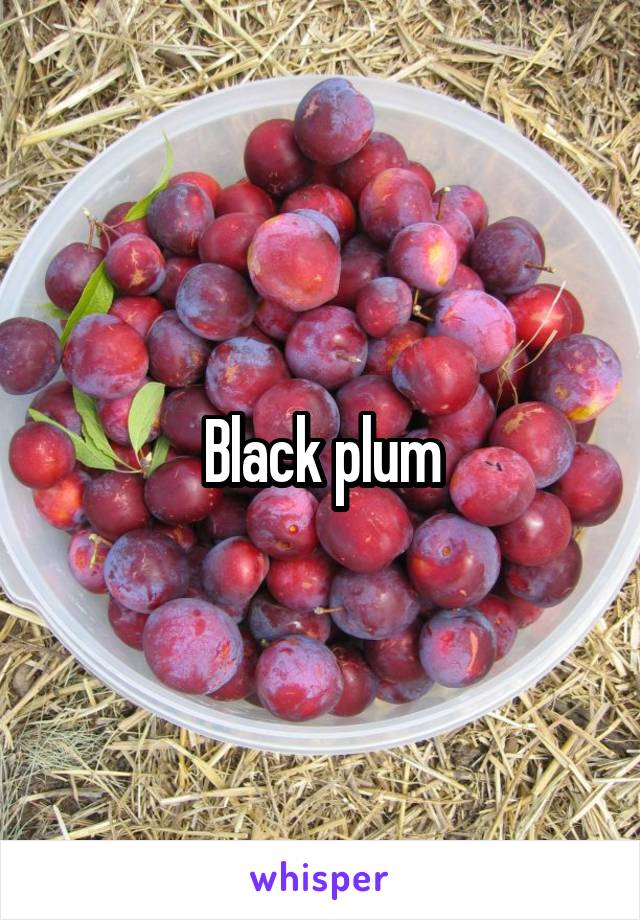 Black plum