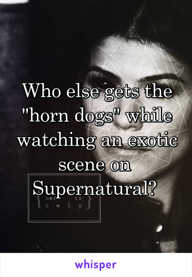 Who else gets the "horn dogs" while watching an exotic scene on  Supernatural? 