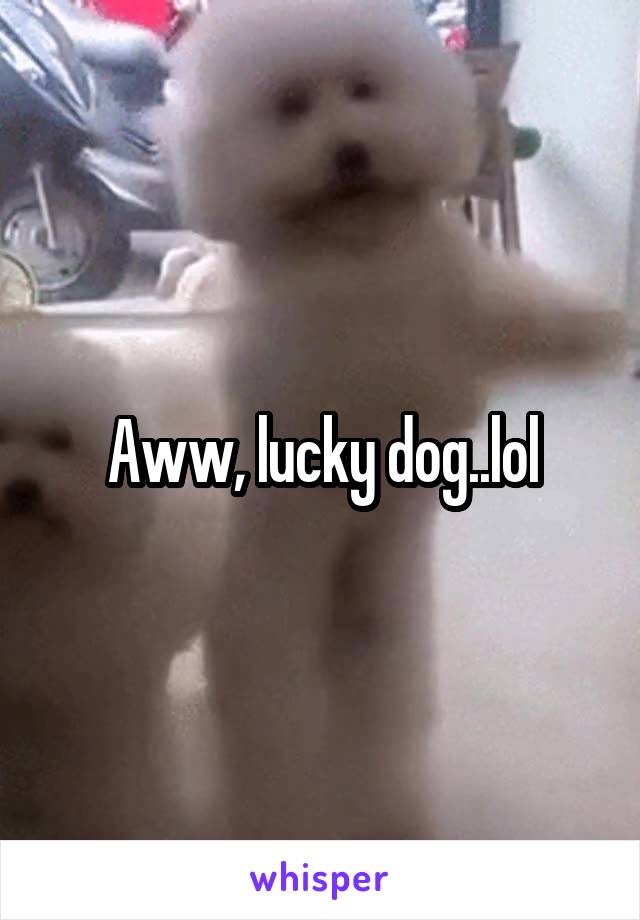 Aww, lucky dog..lol