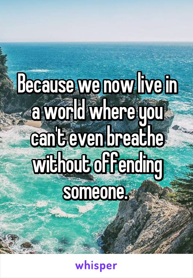 Because we now live in a world where you can't even breathe without offending someone. 