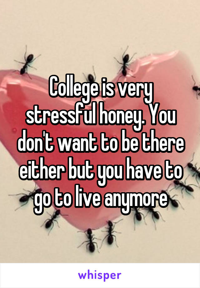 College is very stressful honey. You don't want to be there either but you have to go to live anymore