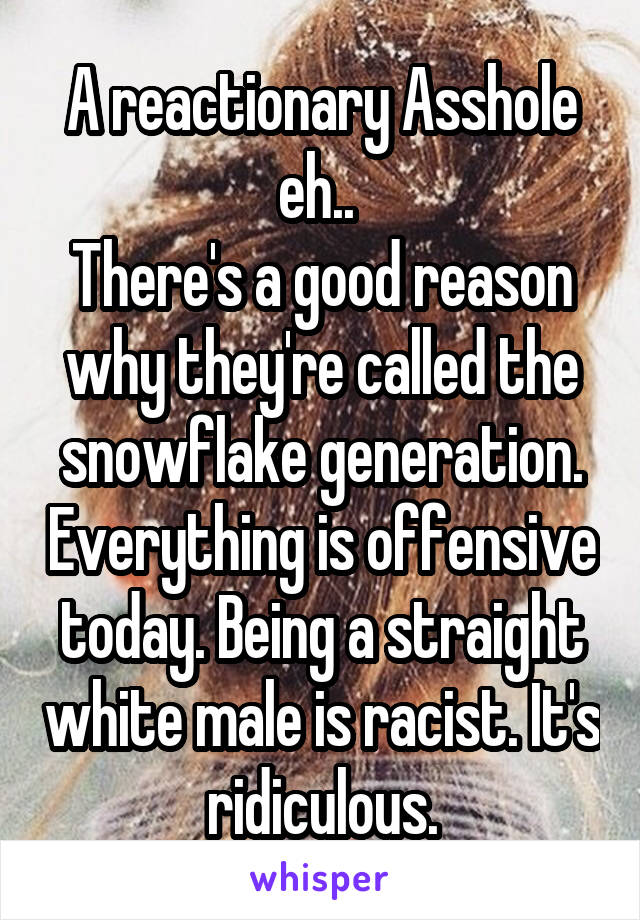 A reactionary Asshole eh.. 
There's a good reason why they're called the snowflake generation. Everything is offensive today. Being a straight white male is racist. It's ridiculous.