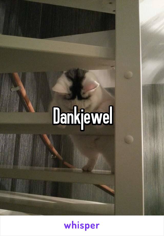 Dankjewel