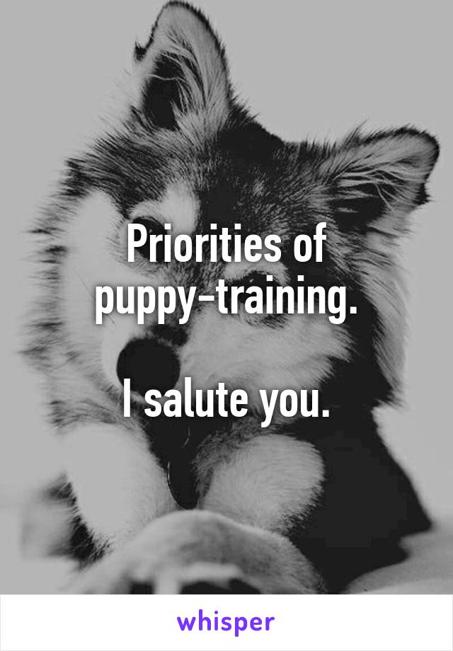 Priorities of puppy-training.

I salute you.