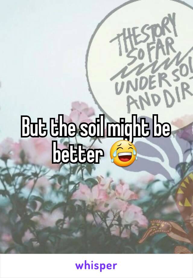 But the soil might be better 😂