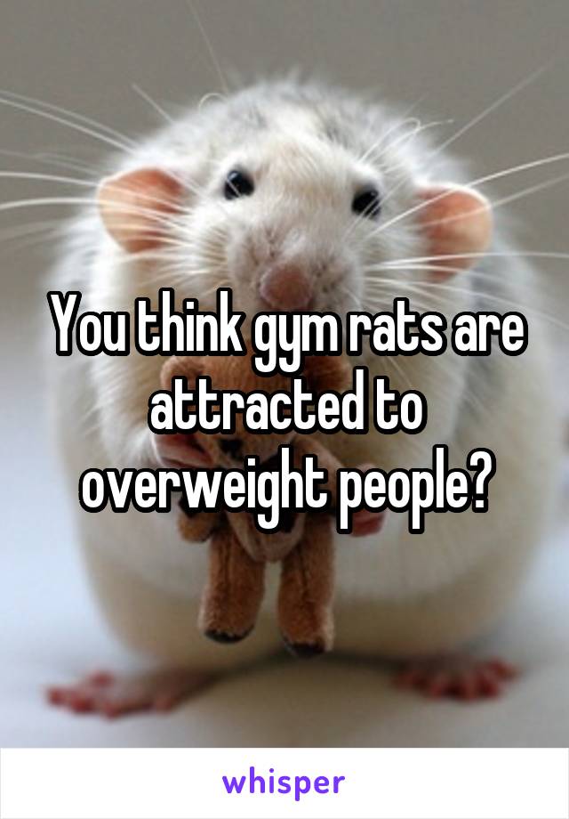 You think gym rats are attracted to overweight people?