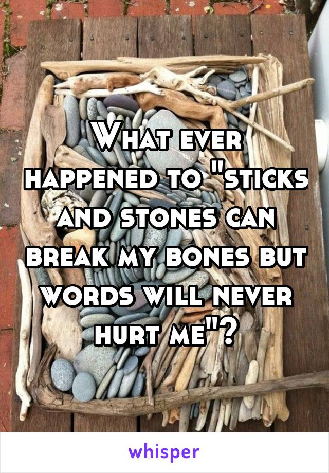 What ever happened to "sticks and stones can break my bones but words will never hurt me"?