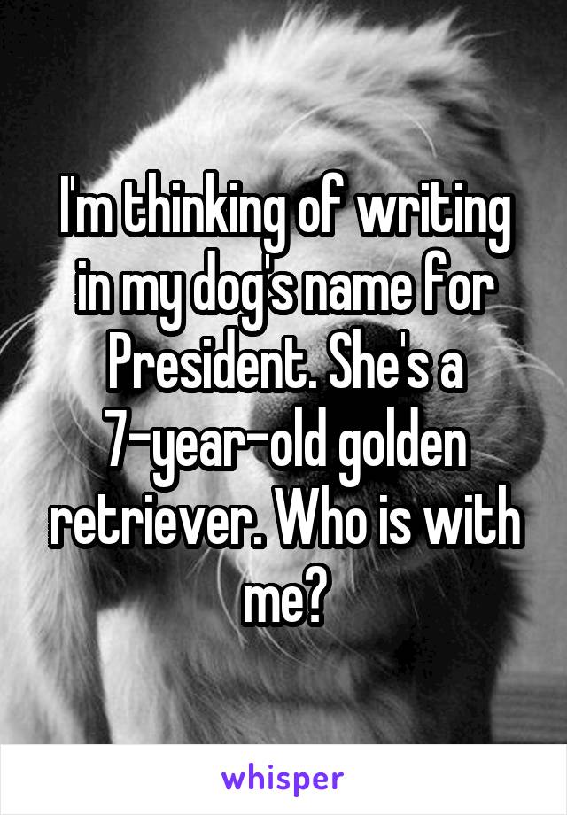 I'm thinking of writing in my dog's name for President. She's a 7-year-old golden retriever. Who is with me?