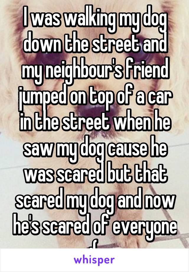 I was walking my dog down the street and my neighbour's friend jumped on top of a car in the street when he saw my dog cause he was scared but that scared my dog and now he's scared of everyone :( 