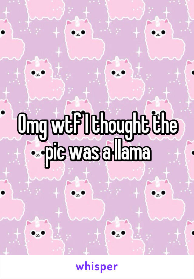 Omg wtf I thought the pic was a llama