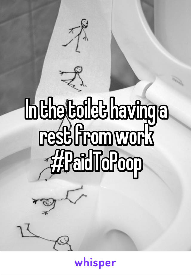 In the toilet having a rest from work #PaidToPoop