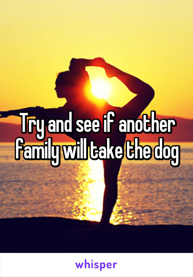 Try and see if another family will take the dog