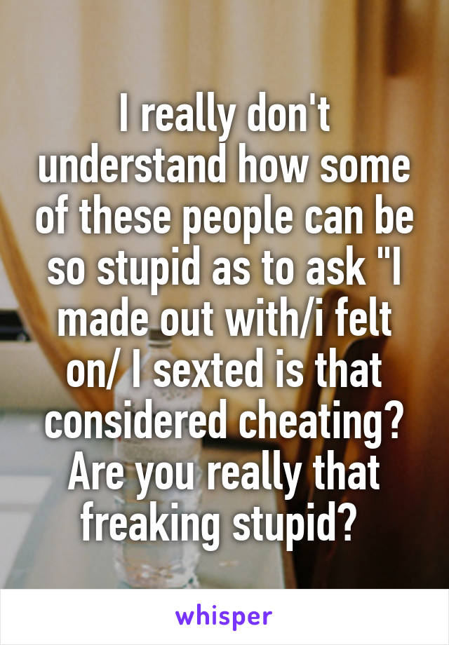 I really don't understand how some of these people can be so stupid as to ask "I made out with/i felt on/ I sexted is that considered cheating? Are you really that freaking stupid? 