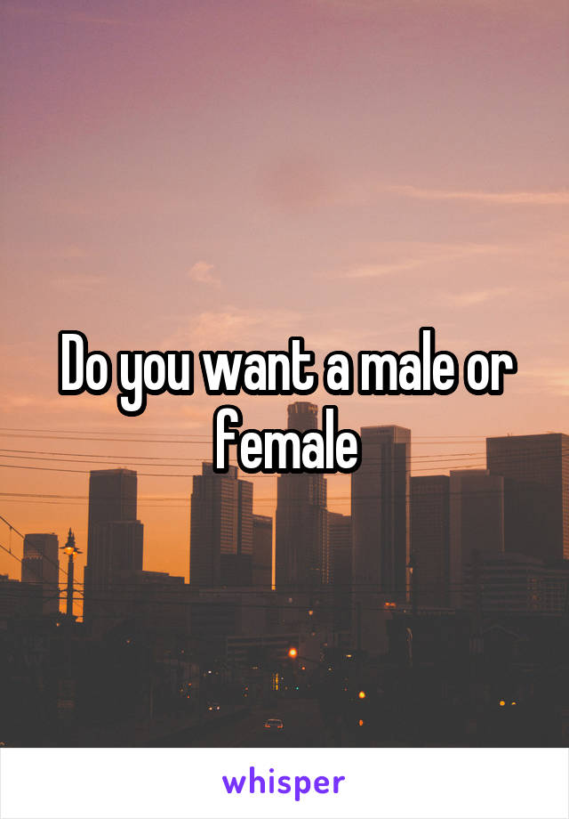 Do you want a male or female