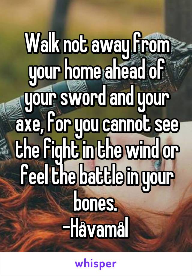 Walk not away from your home ahead of your sword and your axe, for you cannot see the fight in the wind or feel the battle in your bones. 
-Håvamål 