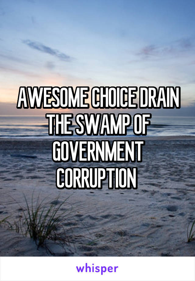 AWESOME CHOICE DRAIN THE SWAMP OF GOVERNMENT CORRUPTION 