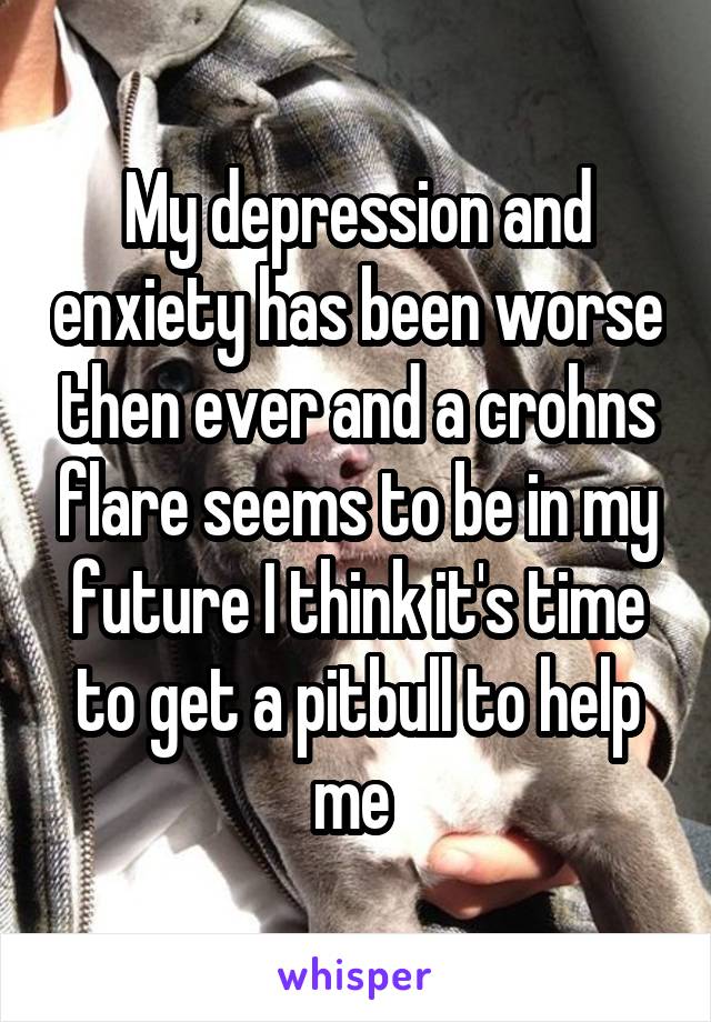 My depression and enxiety has been worse then ever and a crohns flare seems to be in my future I think it's time to get a pitbull to help me 