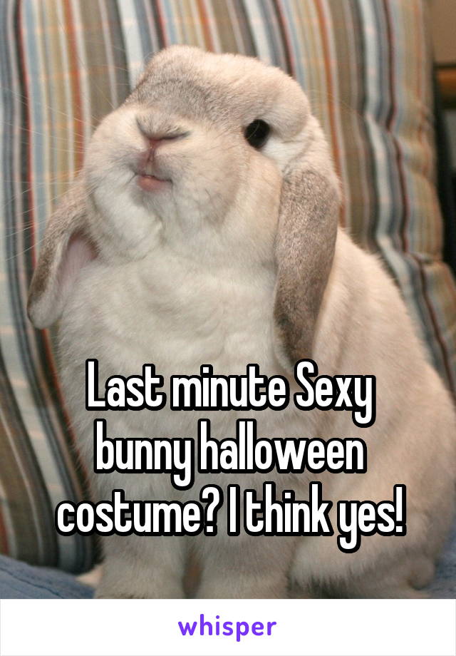 



Last minute Sexy bunny halloween costume? I think yes!