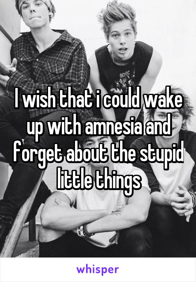 I wish that i could wake up with amnesia and forget about the stupid little things