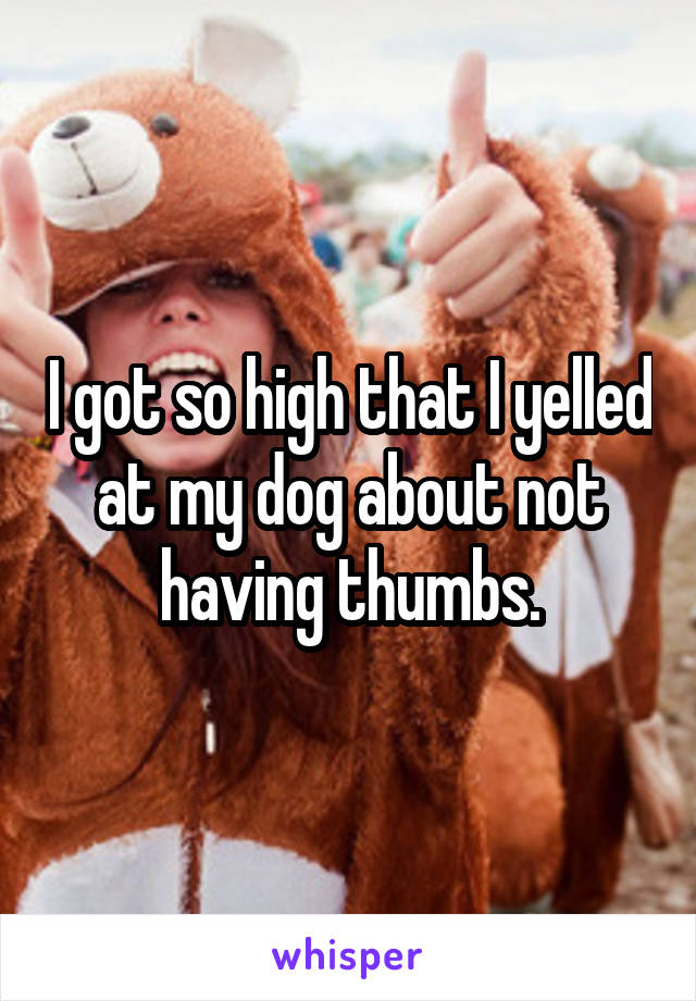 I got so high that I yelled at my dog about not having thumbs.