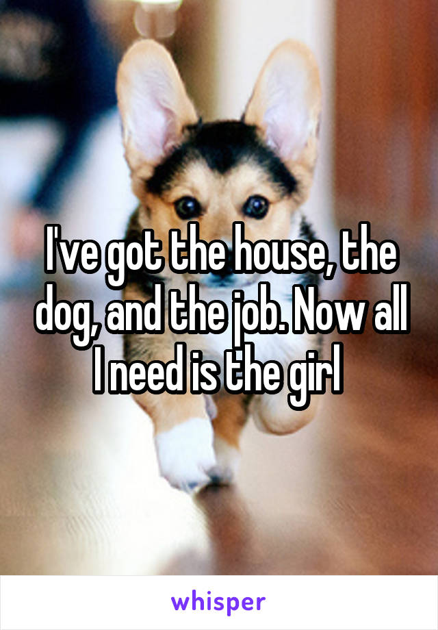 I've got the house, the dog, and the job. Now all I need is the girl 